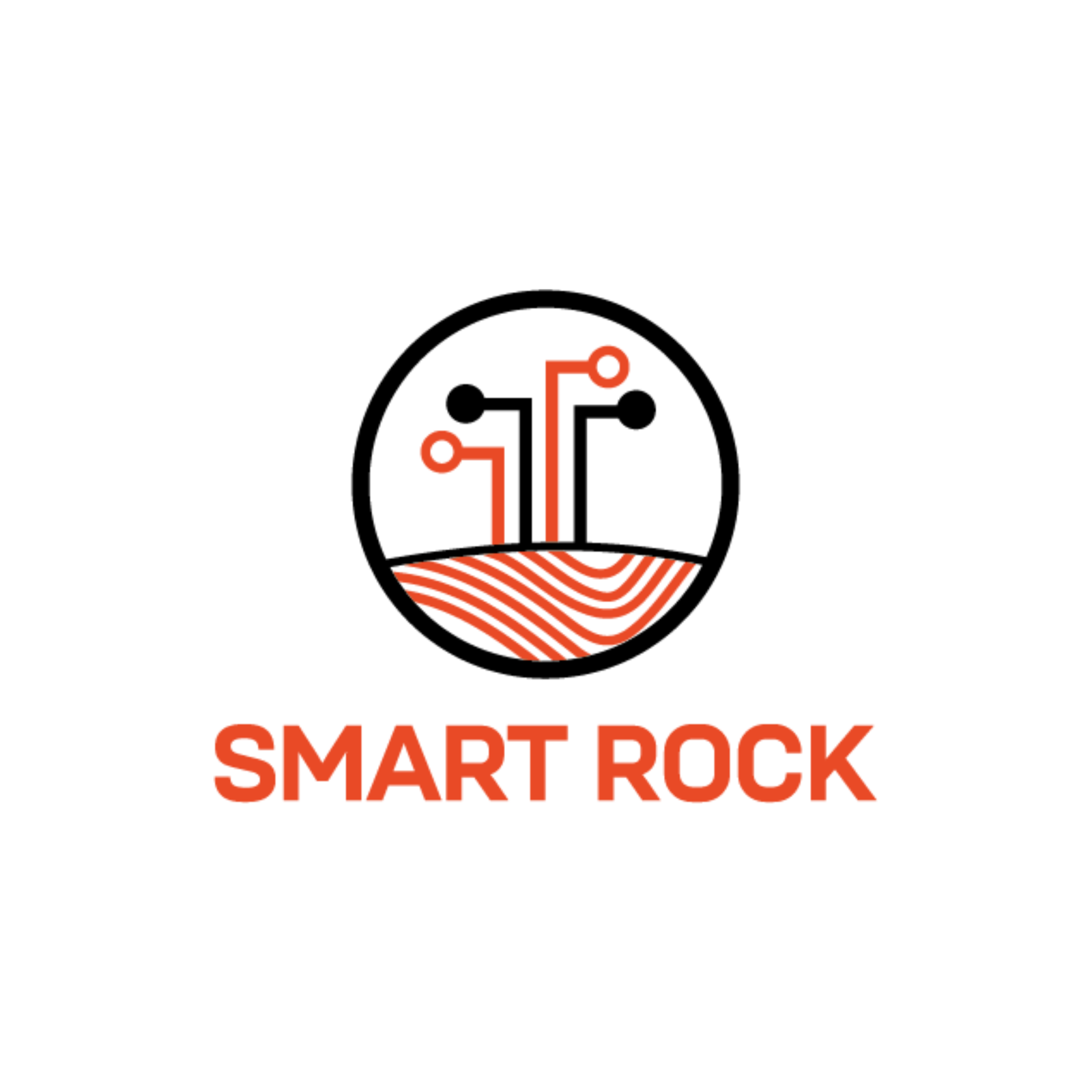 Smart Rock